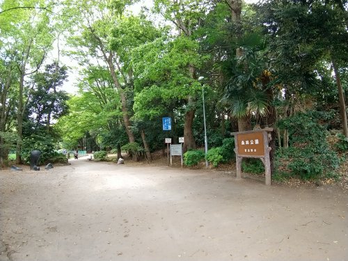 公園　森林公園（公園）まで307m