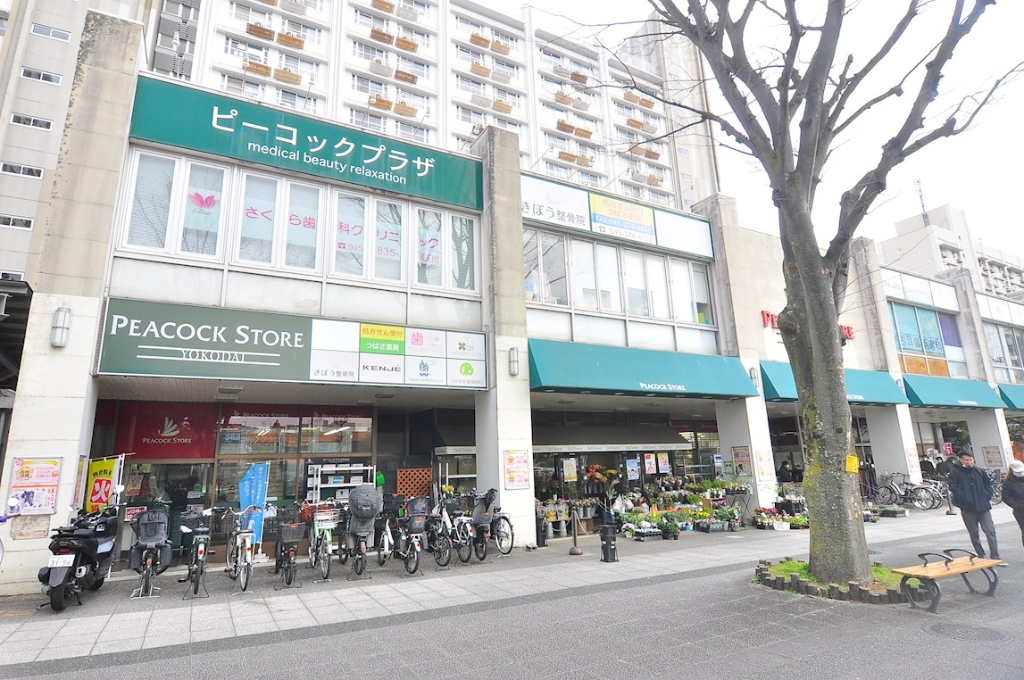 ＪＲ根岸線 洋光台駅 徒歩14分 2階建 築3年の周辺写真