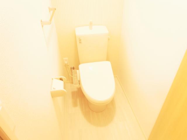 近鉄大阪線 大和八木駅 徒歩7分 3階建 築10年のトイレ写真