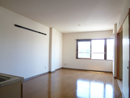 居室・リビング　リビング12帖