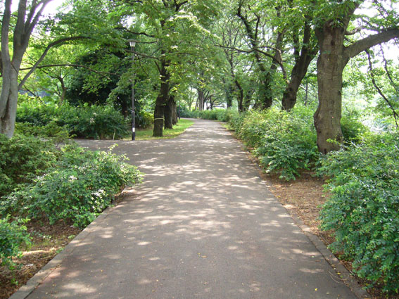 【アーネスト浜田山の公園】