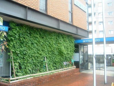 ヤングパレス茨木　摂津水都信用金庫大池支店（その他　350m）