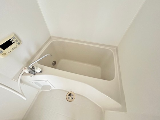 バス・シャワールーム　※別部屋の写真です