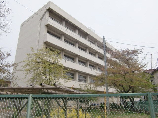 小学校　葛飾小学校（小学校）まで778m