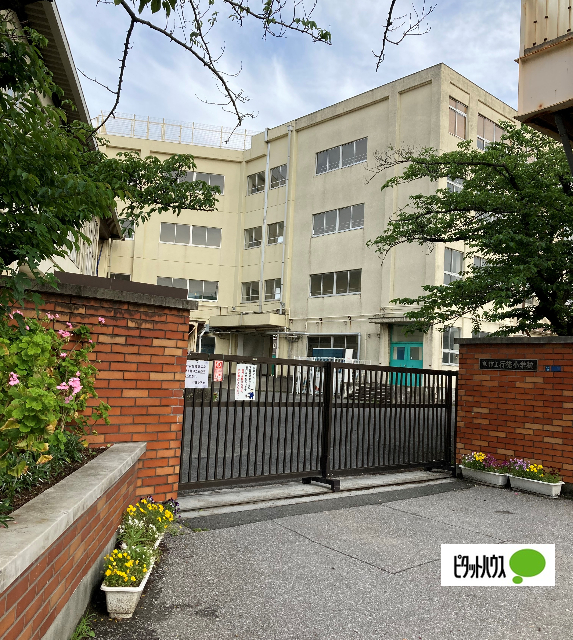 小学校　市川市立行徳小学校（小学校）まで505m