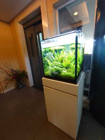 その他　チェロ・デ・トーレ