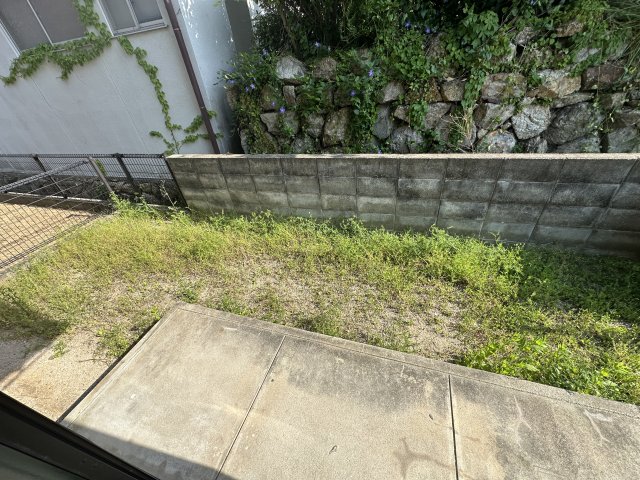 庭