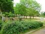 公園　美しの森公園（公園）まで901m
