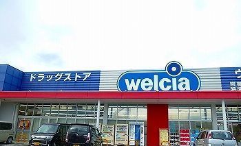ドラックストア　ウエルシア　姫路大津店（ドラッグストア）まで1000m