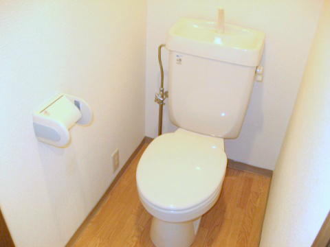 SANTO LALUZ KITAHONMACHIのトイレ写真