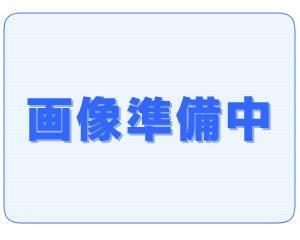 【センチュリーハイアートのその他】