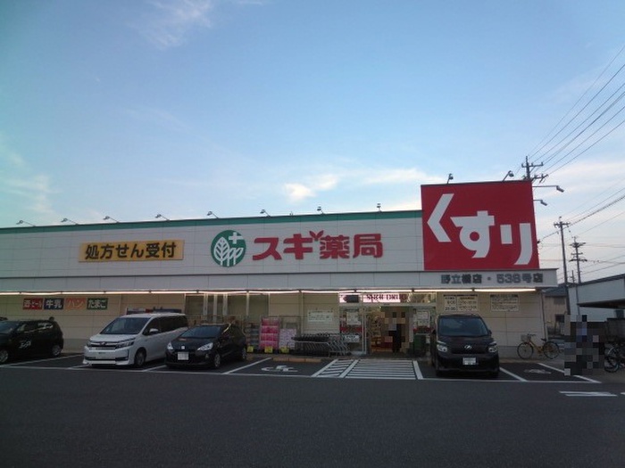 ドラックストア　スギ薬局野立橋店（ドラッグストア）まで746m