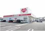 ドラックストア　くすりのレデイ大新田店（ドラッグストア）まで706m