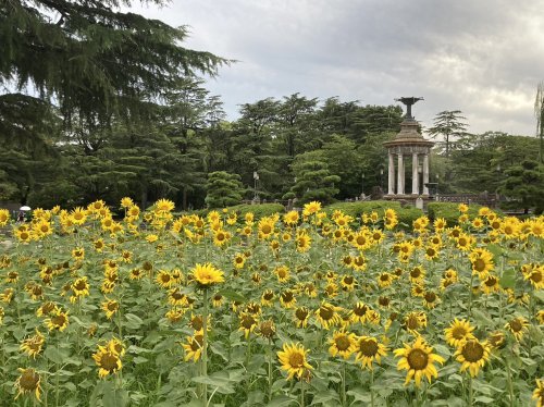 【八事第一ビルの公園】