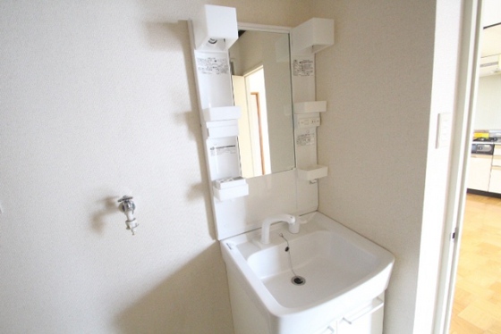洗面設備　※別の部屋の写真です