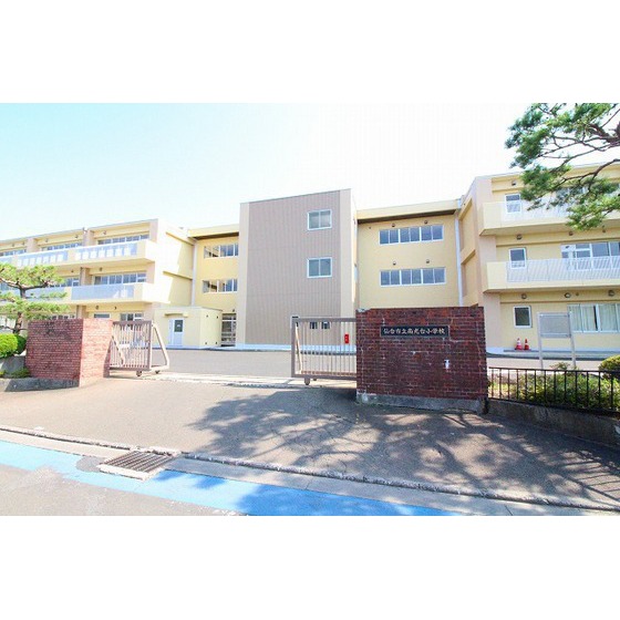 小学校　仙台市立南光台小学校（小学校）まで336m