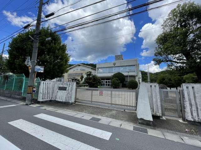 中学校　大白書中学校（中学校）まで1652m
