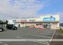 ドラックストア　ウェルシア函南間宮店（ドラッグストア）まで238m