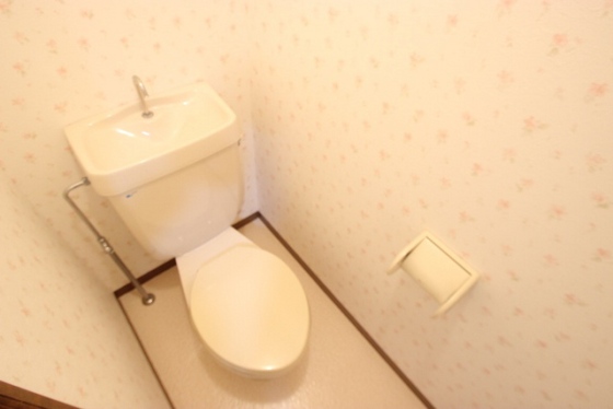 トイレ　※別部屋の写真です