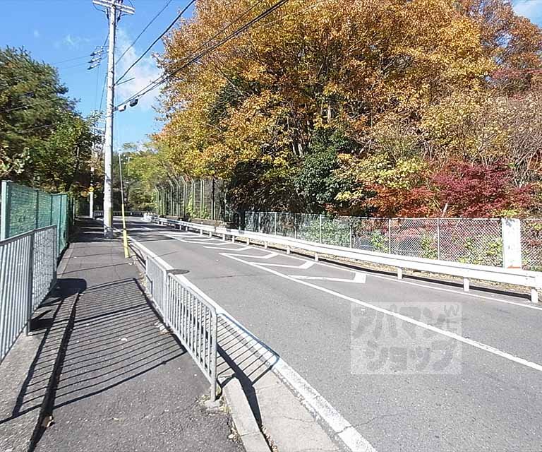 その他　前面道路です