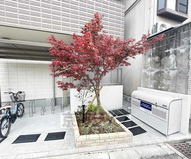 庭