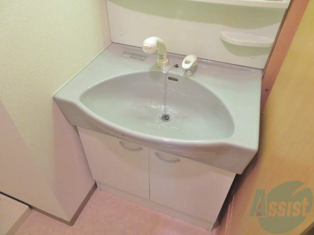 洗面設備　洗面台は、シャワー付きなので便利で良いですねー