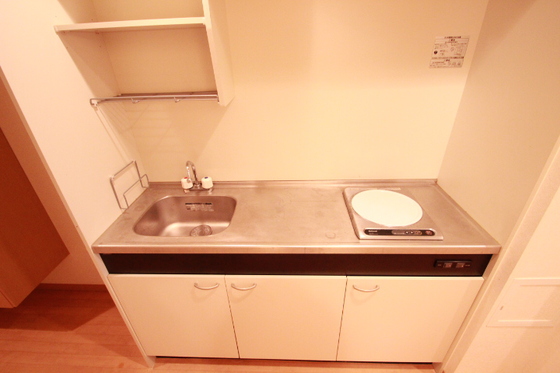 キッチン　※別号室の写真です