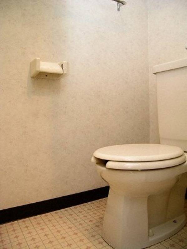 トイレ　トイレもきれいです