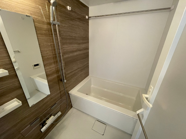 バス・シャワールーム　２０３号室の写真になります。