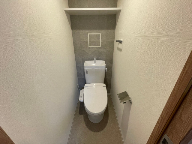 トイレ　２０３号室の写真になります。