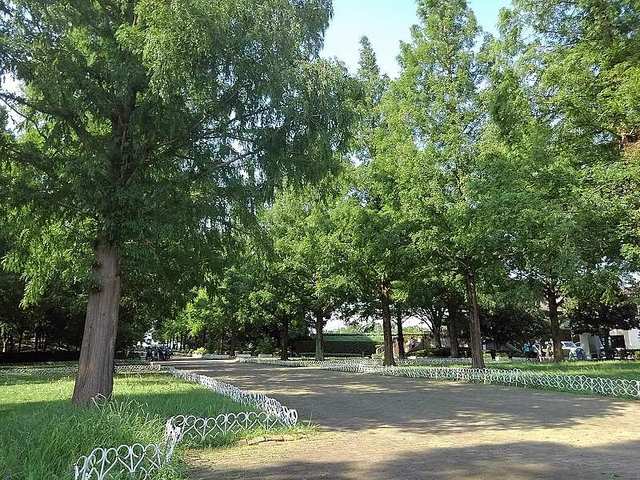 公園　そうか公園（公園）まで160m