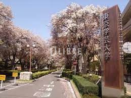 その他　国立東京学芸大学（その他）まで970m