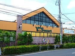 スーパー　ワイズマートディスカ高洲店（スーパー）まで2485m