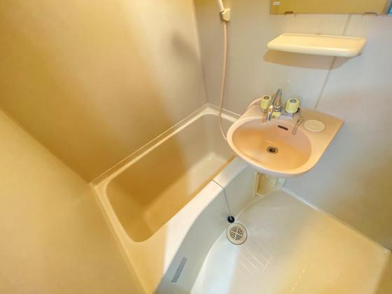 バス・シャワールーム　※別部屋の写真です