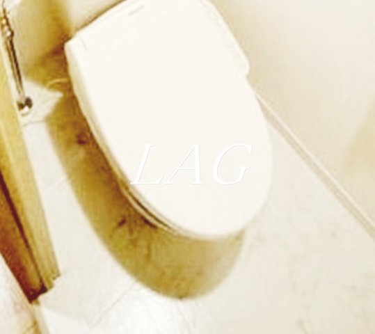 トイレ　トイレです。（同仕様です。）