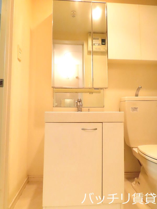 洗面設備　画像は別号室タイプの為、現状を優先致します。