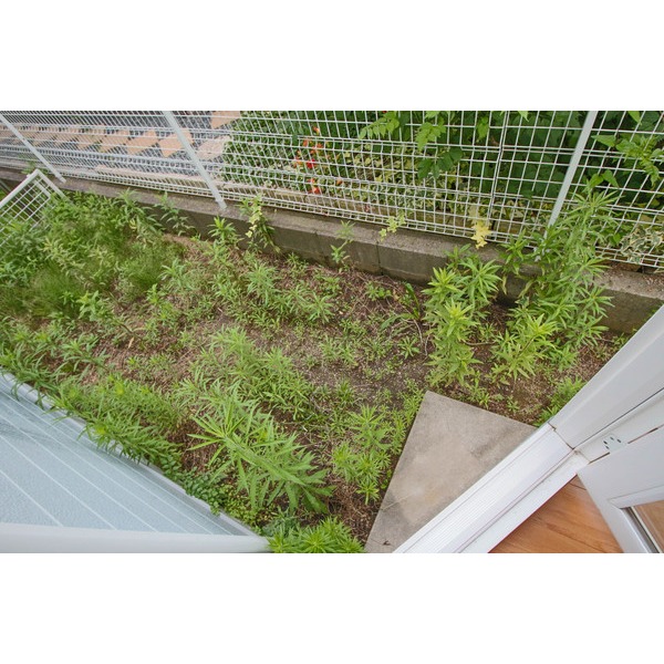 庭　同じ間取のお部屋。