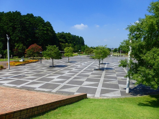 公園　しらさぎ公園（公園）まで490m