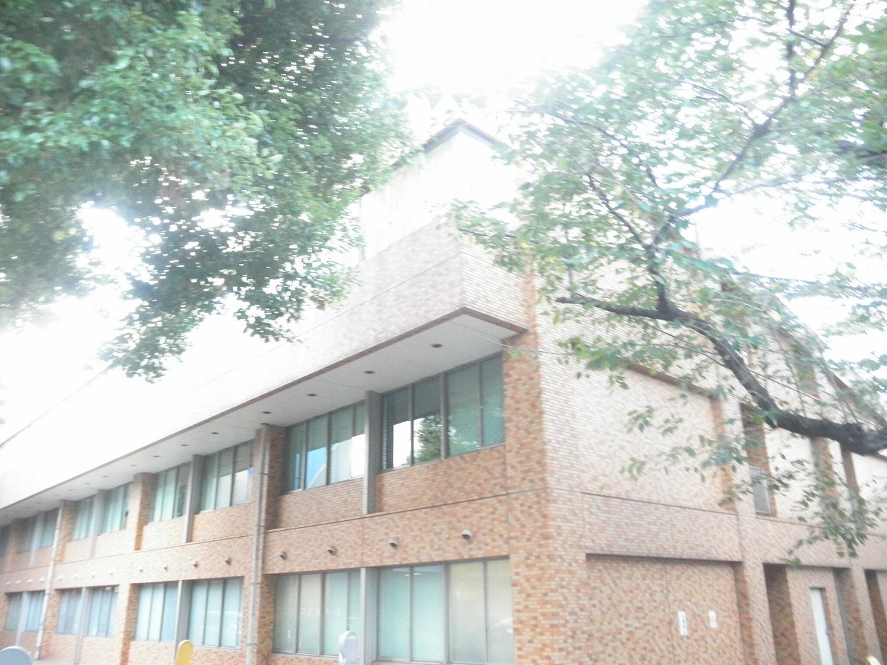 病院　東京都立駒込病院（病院）まで616m