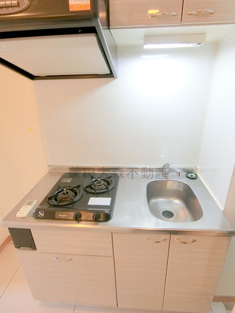 キッチン　2口ガスシステムキッチン