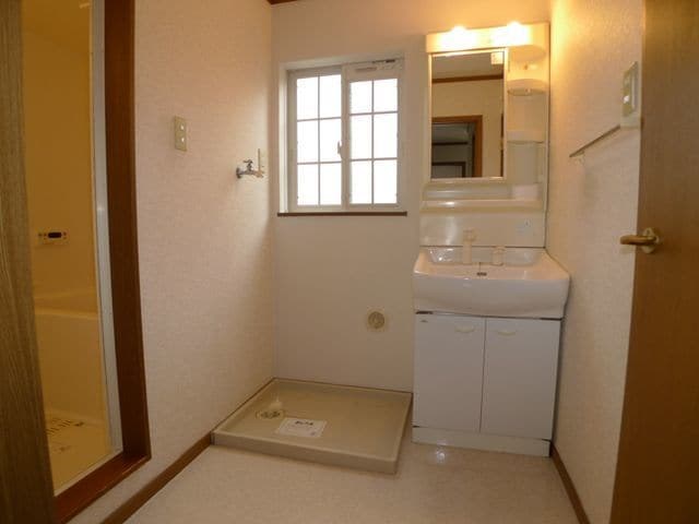 洗面設備　シャワー付きの独立洗面台です。