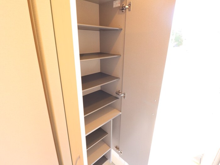 玄関　落ち着いた玄関です