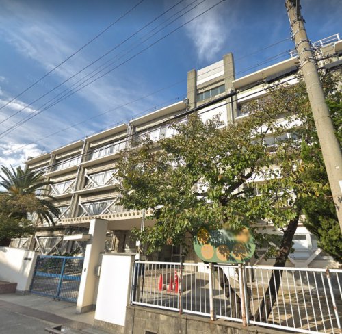 小学校　高石市立加茂小学校（小学校）まで609m