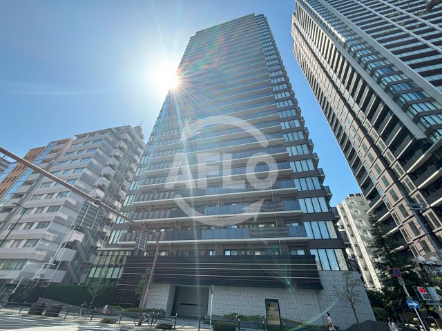 建物外観　ブランズタワー・ウェリス心斎橋SOUTH　外観