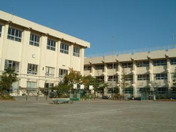 小学校　葛飾区立堀切小学校（小学校）まで548m