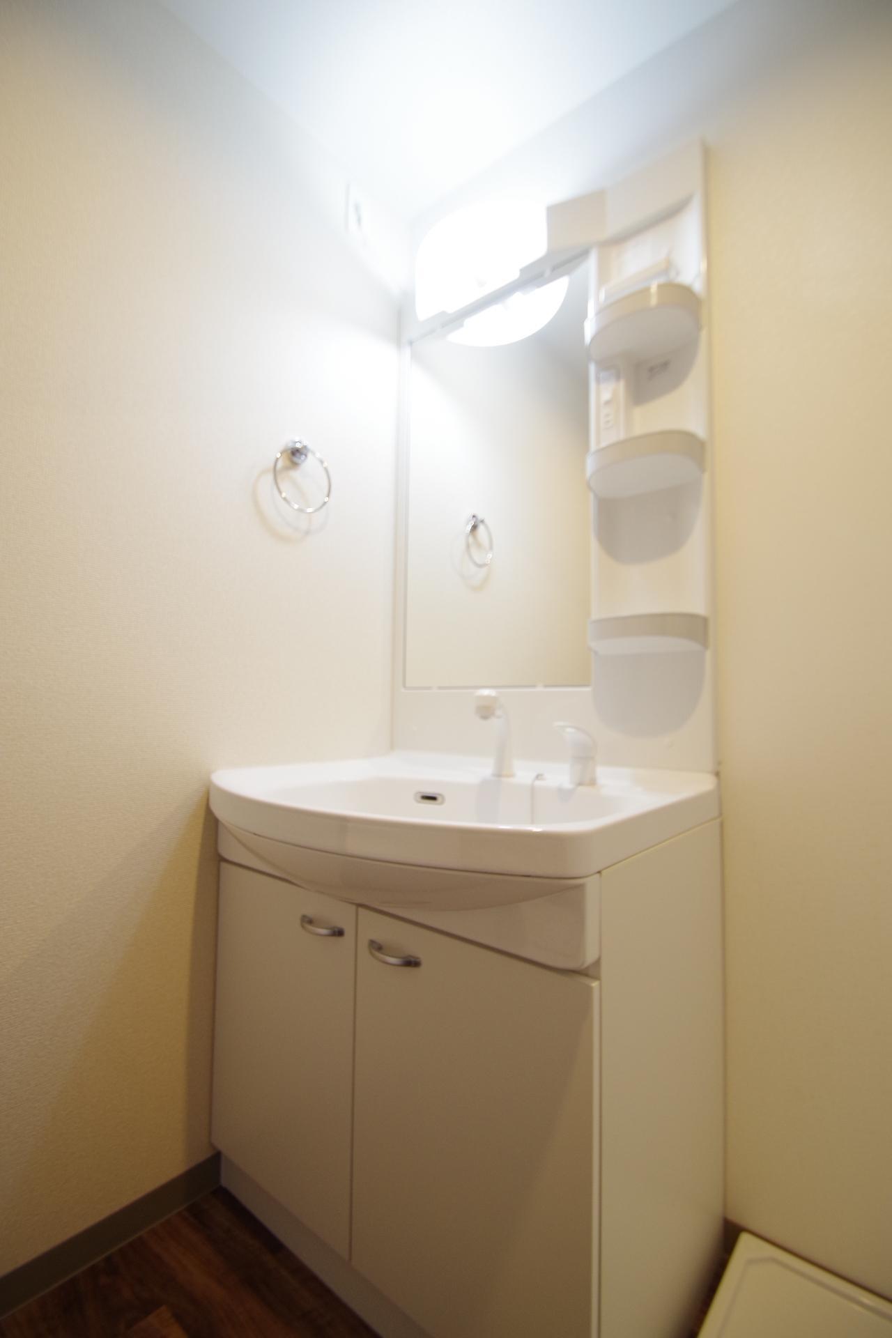 洗面設備　同タイプ別室の写真です。