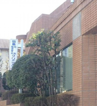 病院　田島内科・脳神経外科クリニック（病院）まで1175m