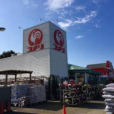 ホームセンター　コメリハード&グリーン保谷北町店（ホームセンター）まで435m