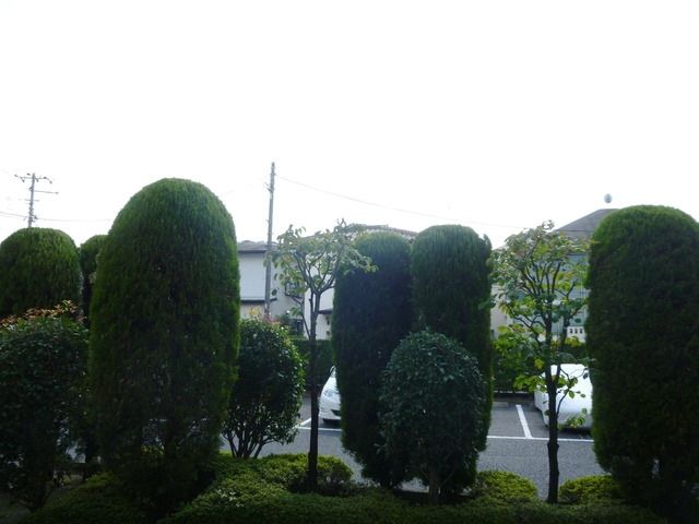 眺望　★お部屋探しはタウンハウジング稲田堤店まで★