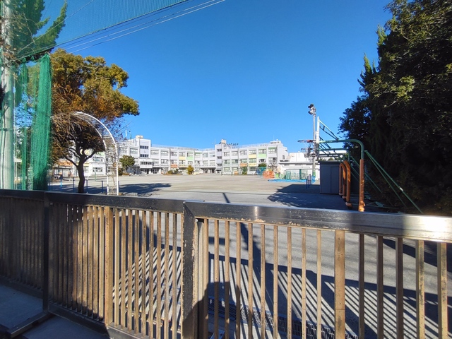 小学校　江戸川区立鎌田小学校（小学校）まで596m